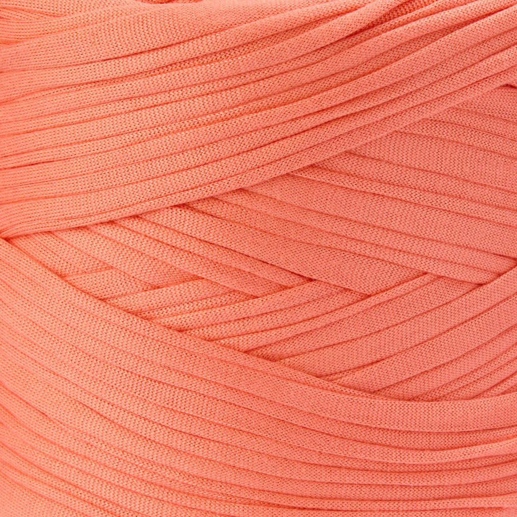 color-Peach Coral